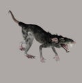 Monster Rat