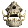 Monster skulls tusker in a white background Royalty Free Stock Photo