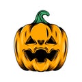 The monster yellow pumpkin with the triangle hole eyes for the decoration of Halloween