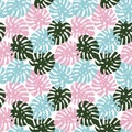Monstera blue, pink and dark green leaves tropical summer exotic paradise pattern on a white background seamless vector Royalty Free Stock Photo