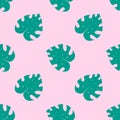 Monstera deliciosa, ceriman. Beautiful seamless pattern of tropical jungle. Royalty Free Stock Photo