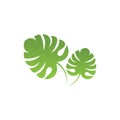 Monstera deliciosa Leaf Logo Vector Template Illustration Design Royalty Free Stock Photo