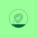 Monstera deliciosa leaf logo on a green background Royalty Free Stock Photo