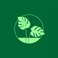 Monstera deliciosa leaves logo on a dark green background Royalty Free Stock Photo