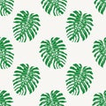 Monstera deliciousa tropical leaf seamless pattern vector illustration background Royalty Free Stock Photo