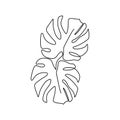 Monstera delicosa plant leaves continuous one line drawing minimalist design. Simple minimalism style on white background