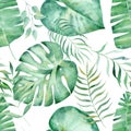 Monstera fern and eucalyptus leaves hand drawn seamless pattern illustration