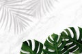 Monstera green leaf with palm shadow on white marble ,quartz texture background.Flat lay,top view natural color illustration tropi Royalty Free Stock Photo