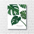 Monstera green leave collections white frame, on block wall background, Eps 10