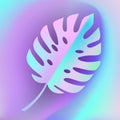 Monstera holographic leaf logo isolated. Vector. Royalty Free Stock Photo