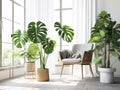 Monstera houseplants in a pot in a stylish Scandinavian living room interior with a large window with morning sunlight. Generative