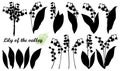 Vector set of silhouettes Lily of the valley or Convallaria flower and leaves in black isolated on white background. Royalty Free Stock Photo