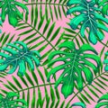 Seamless Monstera and Palm Leaves Pattern, Vector Illustration EPS 10. Royalty Free Stock Photo