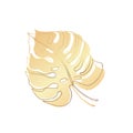Monstera leaf, gold. On a white background. Vector illustration. Modern abstraction