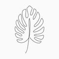 Monstera leaf - one line drawing. Continuous line exotic plant. Hand-drawn minimalist illustration