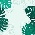 Monstera Leaf pattern background. Vector illustration