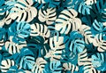 Monstera leaf pattern seamless on black background. Hand drawn tropical leaves wallpaper. Botanical vector creative design. Pastel Royalty Free Stock Photo