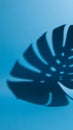 Monstera Leaf Shadow on Blue Background Minimalist Aesthetic Royalty Free Stock Photo