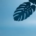 Monstera Leaf Shadow on Blue Wall Aesthetic Background Royalty Free Stock Photo
