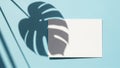 Monstera leaf shadow cast on a pastel blue background with white card Royalty Free Stock Photo
