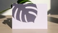 Monstera leaf shadow cast on a white card with soft natural light Royalty Free Stock Photo