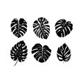 Monstera Leaf Silhouette Set. Tropical Botanical Vector Illustration Royalty Free Stock Photo