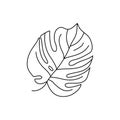 Monstera leaf of tropical plants. Outline Palm leaf In a Trendy Minimalist liner Style. Vector Illustration