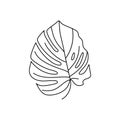 Monstera leaf of tropical plants. Outline Palm leaf In a Trendy Minimalist liner Style. Vector Illustration