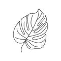 Monstera leaf of tropical plants. Outline Palm leaf In a Trendy Minimalist liner Style. Vector Illustration.