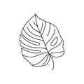 Monstera leaf of tropical plants. Outline Palm leaf In a Trendy Minimalist liner Style. Vector Illustration.