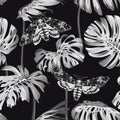 Monstera leaves and Death's Head Hawk Moth. Tropical black and white seamless pattern. Royalty Free Stock Photo