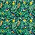 Monstera leaves floral illustration, hoopoe and starling birds. seamless pattern, jungle design Royalty Free Stock Photo