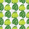 Monstera leaves in halftone style. Seamless background. Summer tropical design. Royalty Free Stock Photo