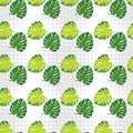 Monstera leaves in halftone style. Seamless background. Summer tropical design. Royalty Free Stock Photo