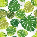 Monstera leaves in halftone style. Seamless background. Summer tropical design. Royalty Free Stock Photo