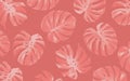 Monstera leaves pattern background design tropical summer