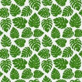 Monstera Leaves Seamless Pattern