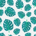 Monstera leaves seamless pattern. Natural tropical exotic leaf. Scandinavian fabric print, organic garden vector