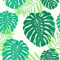 Monstera leaves seamless pattern. Vector tropical botanical illustration.
