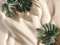 Monstera Leaves and Shadows on Textured Beige Surface Royalty Free Stock Photo