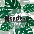 Monstera. Modern tropical background design