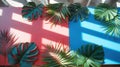 Tropical Leaves Decoration on Bright Pink and Blue Background With Shadows Royalty Free Stock Photo