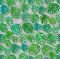 Monstera pattern seamless. Palm leaves background. Tropical texture