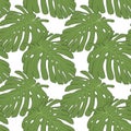 Monstera pattern Royalty Free Stock Photo