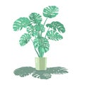 Monstera plant in a flower pot with lush foliage. Vector illustration in flat style Royalty Free Stock Photo