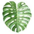 Monstera plant leaf with ethnic ornaments