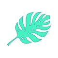 Monstera plant leaf. Line art doodle sketch. Mint green on white background. Vector illustration.