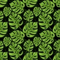 Monstera seamless beckground. Tiled green jungle pattern. Vector