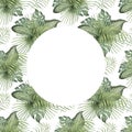 Monstera tropic leaves watercolor illustration drawn composition isolated elements on white background nature jungle patern Royalty Free Stock Photo