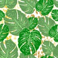 Monstera tropical leaf vector illustration. Summer print. Seamless pattern Royalty Free Stock Photo